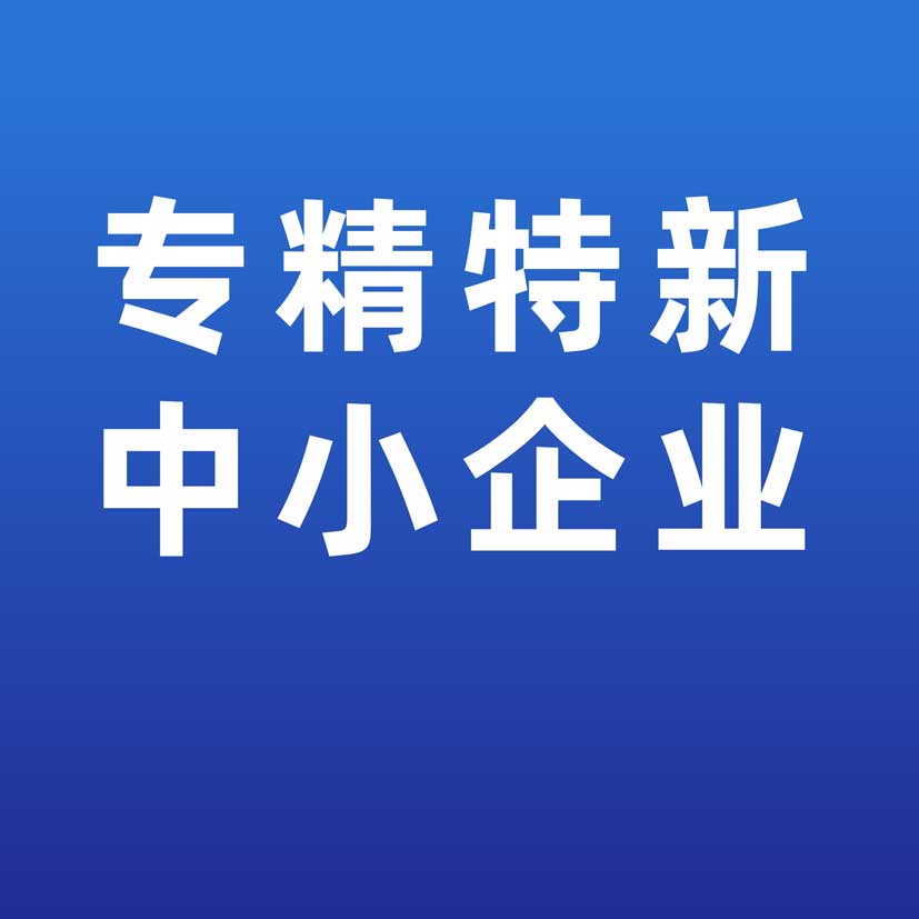 bwin中国官网子公司荣获“湖北省专精特新中小企业”称号