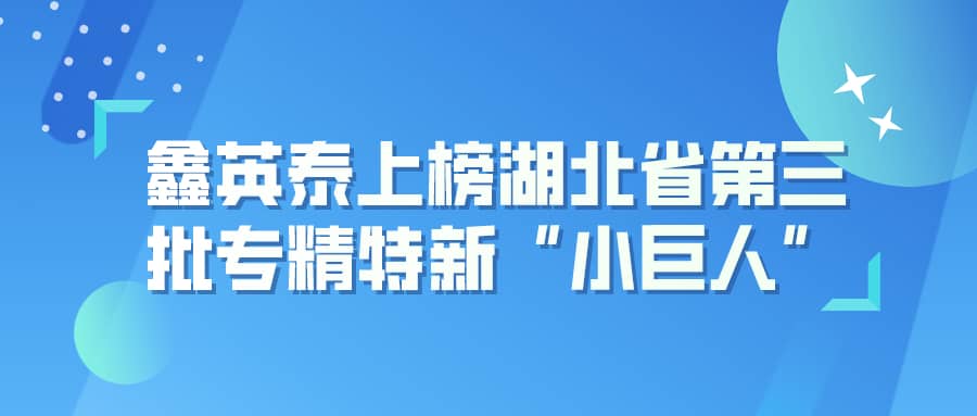 bwin中国官网上榜湖北省第三批专精特新“小巨人”企业名单
