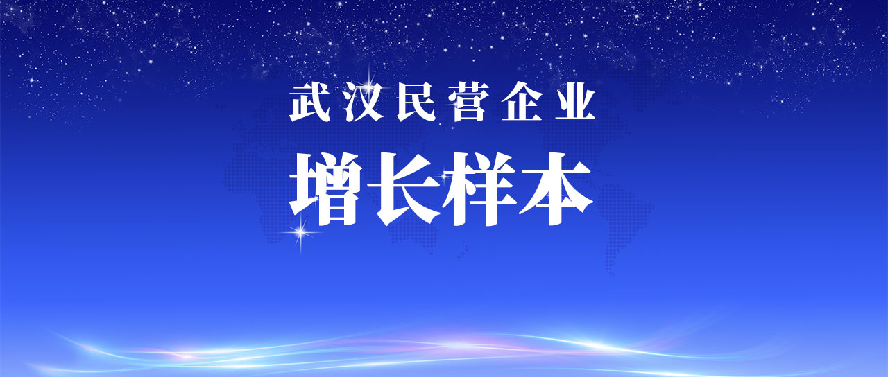 bwin中国官网入选武汉市民营企业增长样本企业